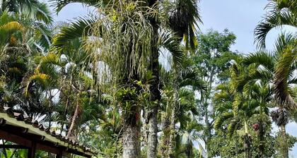 Coffee Region Getaway: Tropical Villa Near Parque del CafĂ©, QuindĂo, Colombia