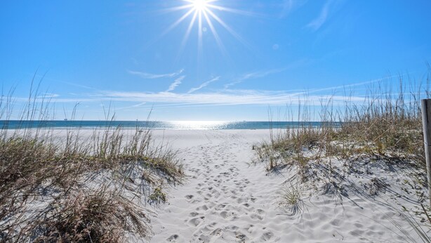 A sandy beach path leading to the ocean with sparse vegetation on either side.