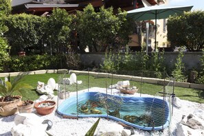 Ein Swimmingpool, umgeben von Kübelpflanzen und Steinen, mit einem Zaun und einem Gebäude im Hintergrund.