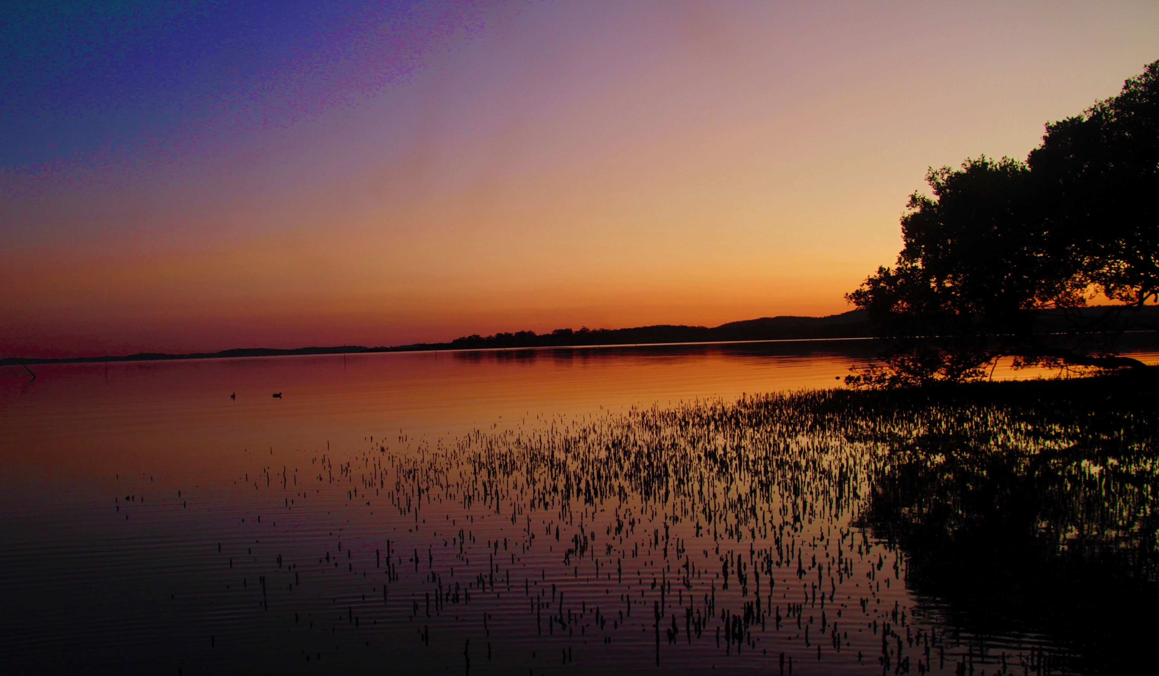 A calm lake at sunset with a tree line on the right and a distant shoreline.