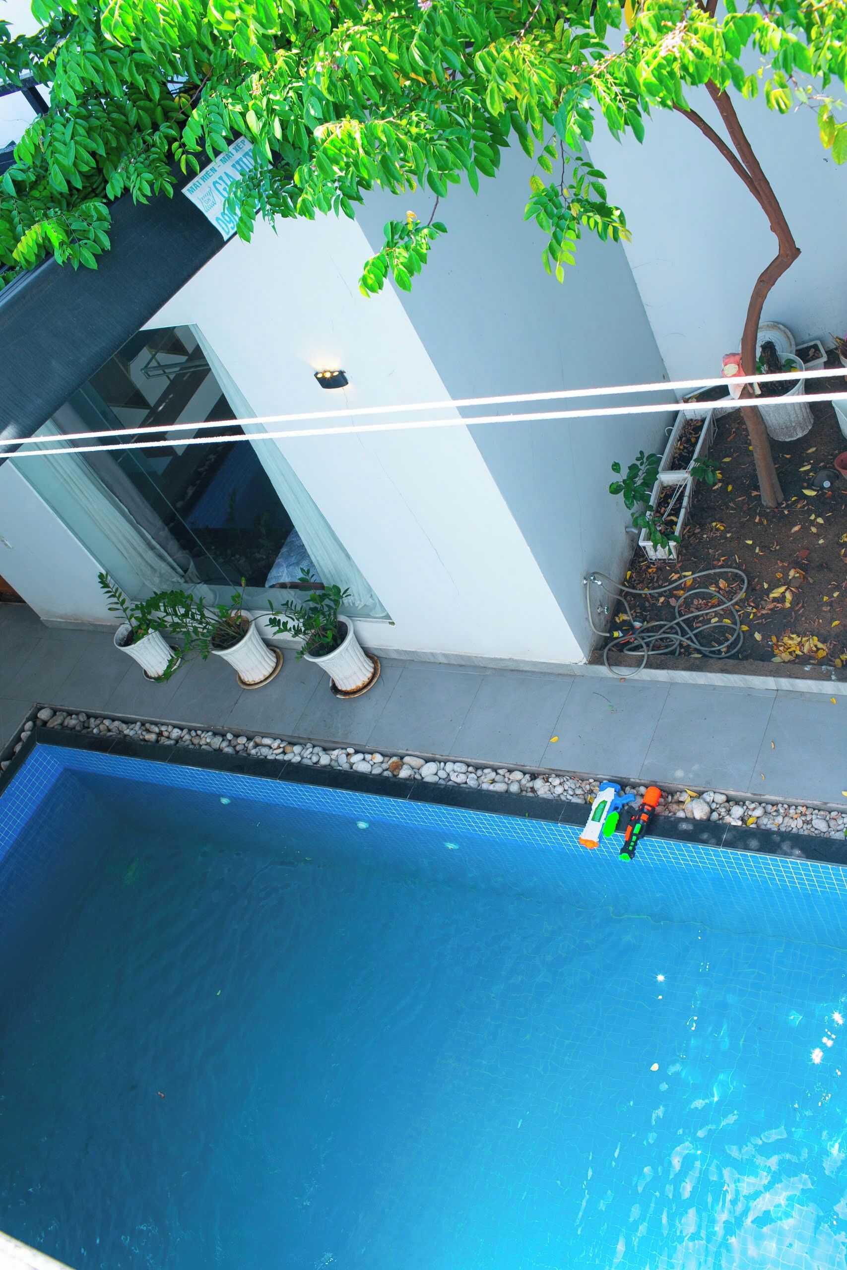 A swimming pool with potted plants and a tree nearby.