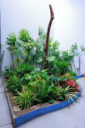 Courtyard - Amazing 3 br Best House Homestay - PT (Phan Thiet)