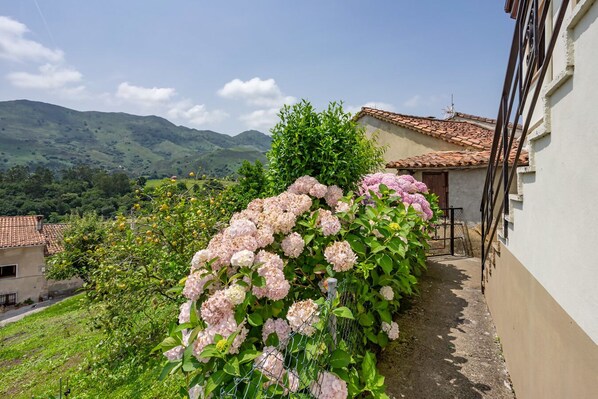 Property grounds - Casa Honorato in the mountains (Borbolla, La (Llanes))