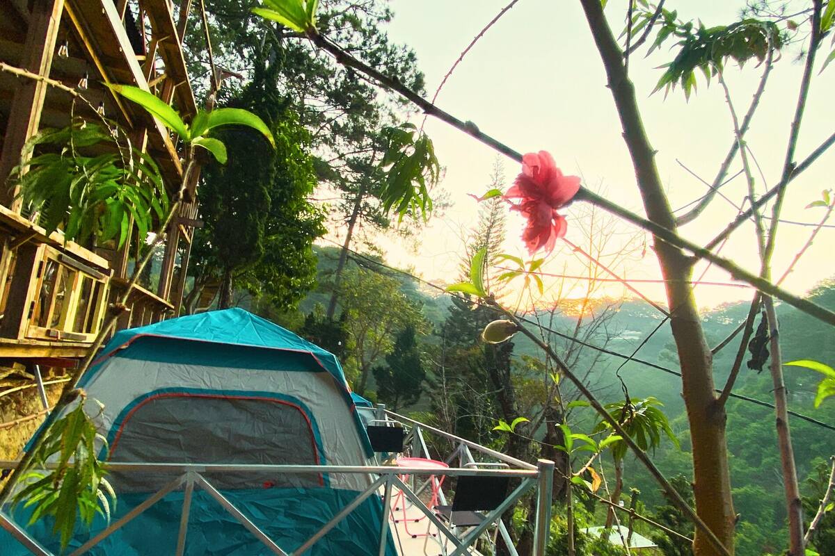 Uma tenda azul com estrutura de metal, rodeada por vegetação exuberante e uma flor rosa.