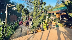 Ein Garten mit verschiedenen Pflanzen und einer Holzkonstruktion.