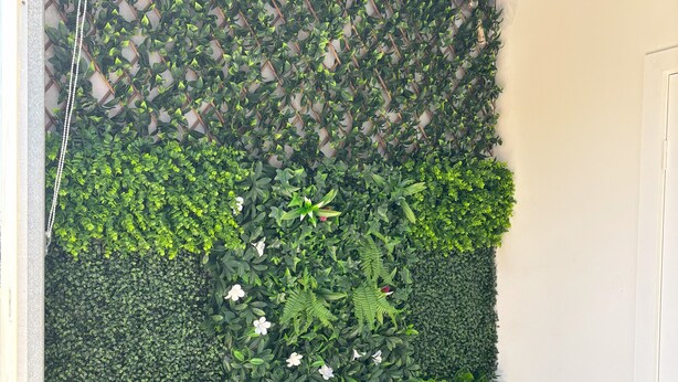 A vertical garden wall with various plants and flowers. - Peace and Joy (Para Hills)