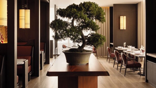 Interior moderno com mesa de madeira central, um bonsai e área de jantar com cadeiras e mesas.