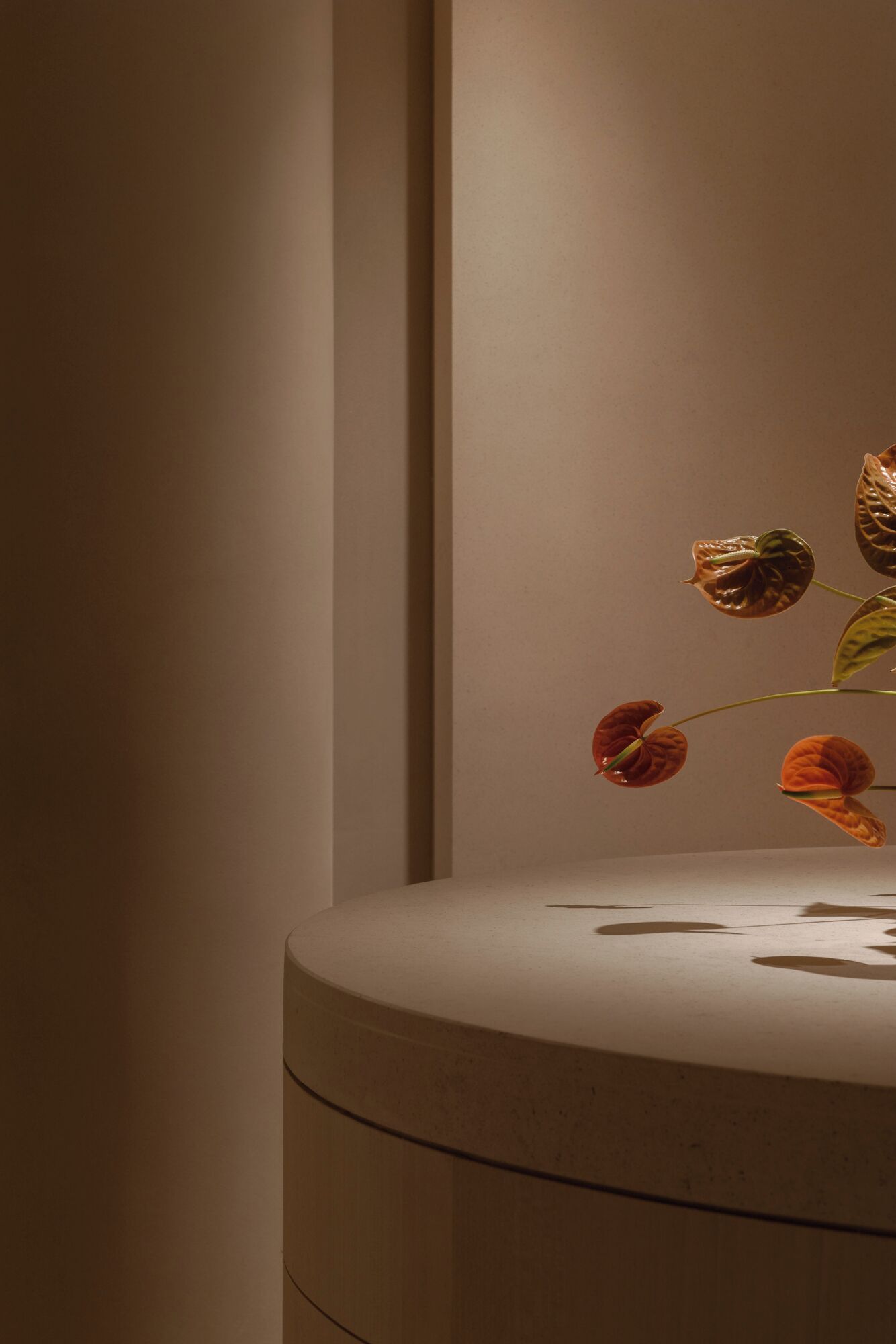 A minimalist room with a curved white console table and a single vase with a few leaves.