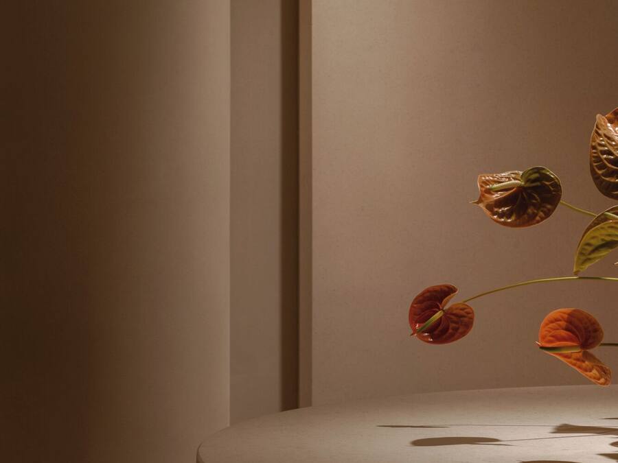A minimalist room with a curved white console table and a single vase with a few leaves.