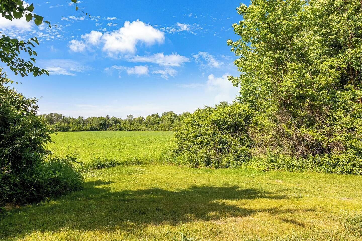 A grassy field with trees and a clear sky.