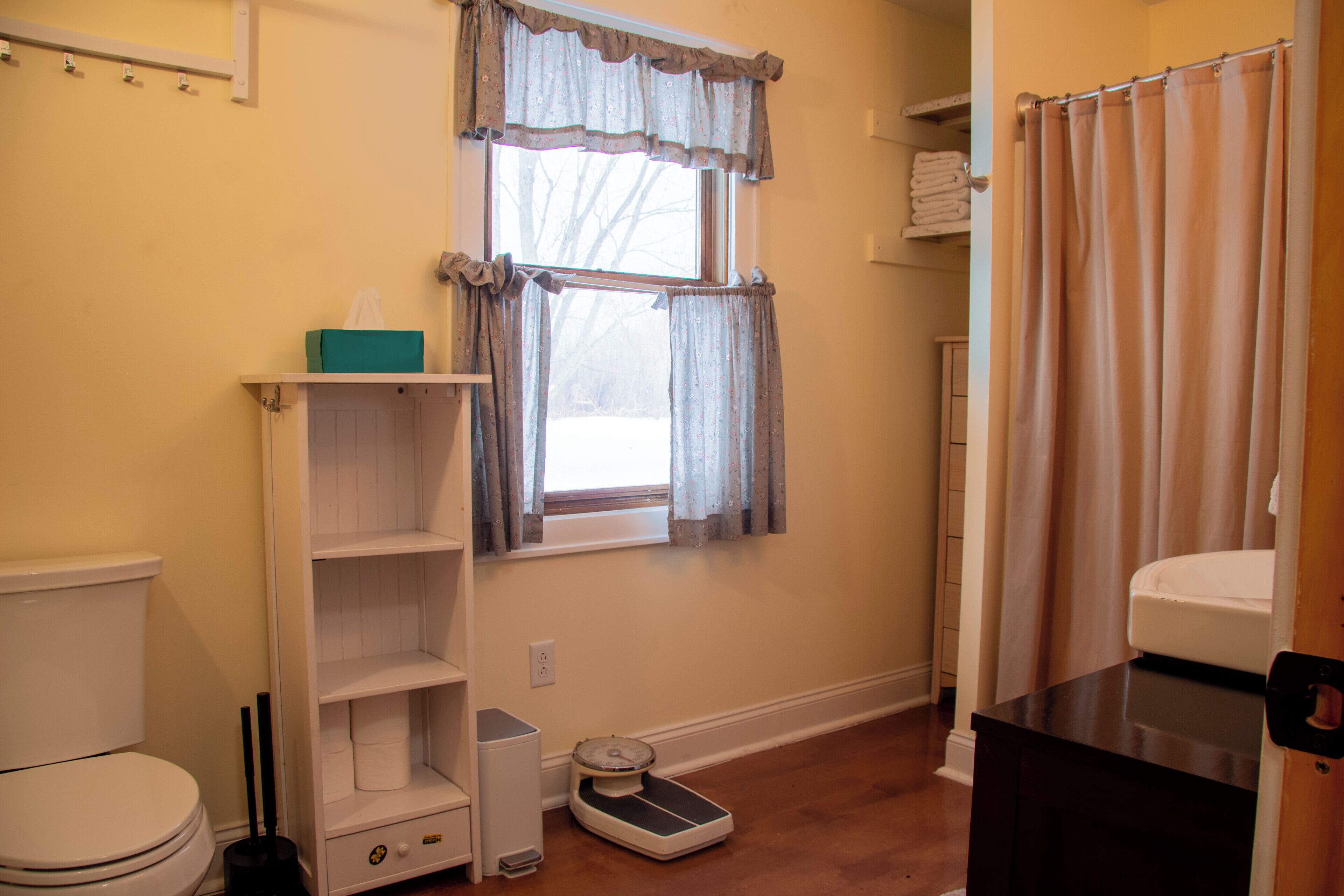 Un baño con inodoro, un estante con caja de pañuelos, una balanza y una cortina de ducha.