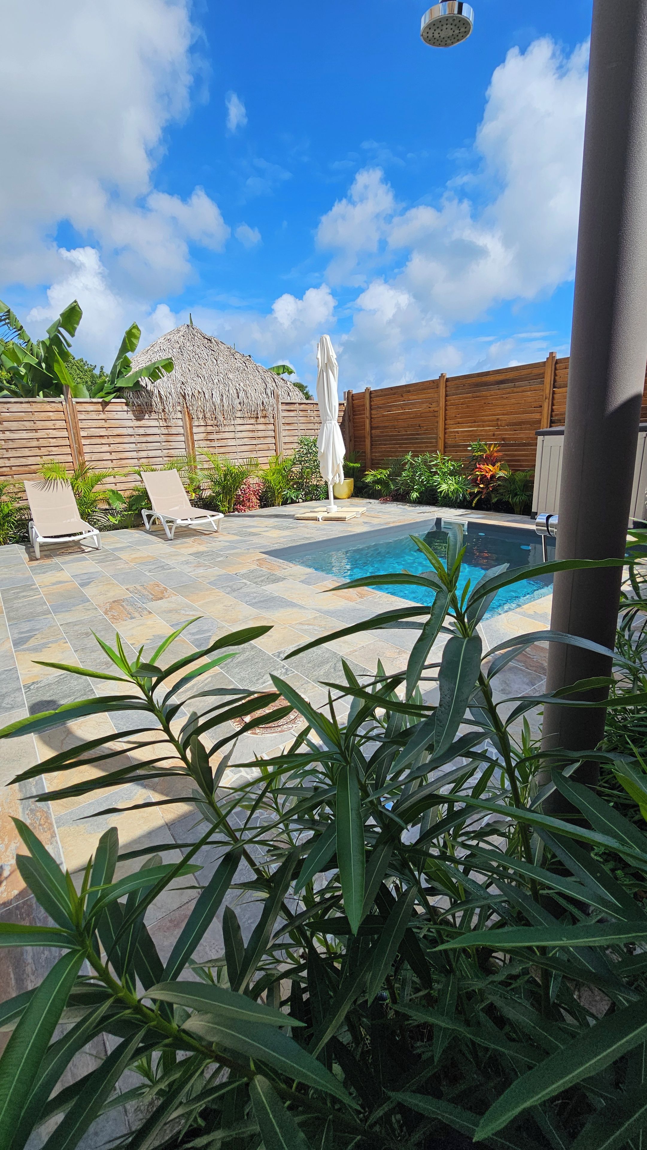 A swimming pool with lounge chairs, a thatched-roof structure, and tropical plants.