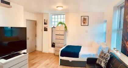 Nice and Cozy studio in Long Island City. Comfortable and close to Manhattan