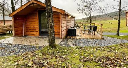 1 Bedroom Log Cabin in Parc Pen y Bryn Sleep 2/3