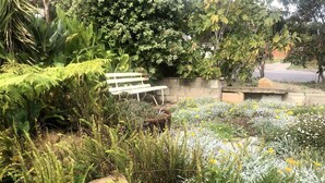 Een tuin met een witte bank, verschillende planten en een stenen muur.