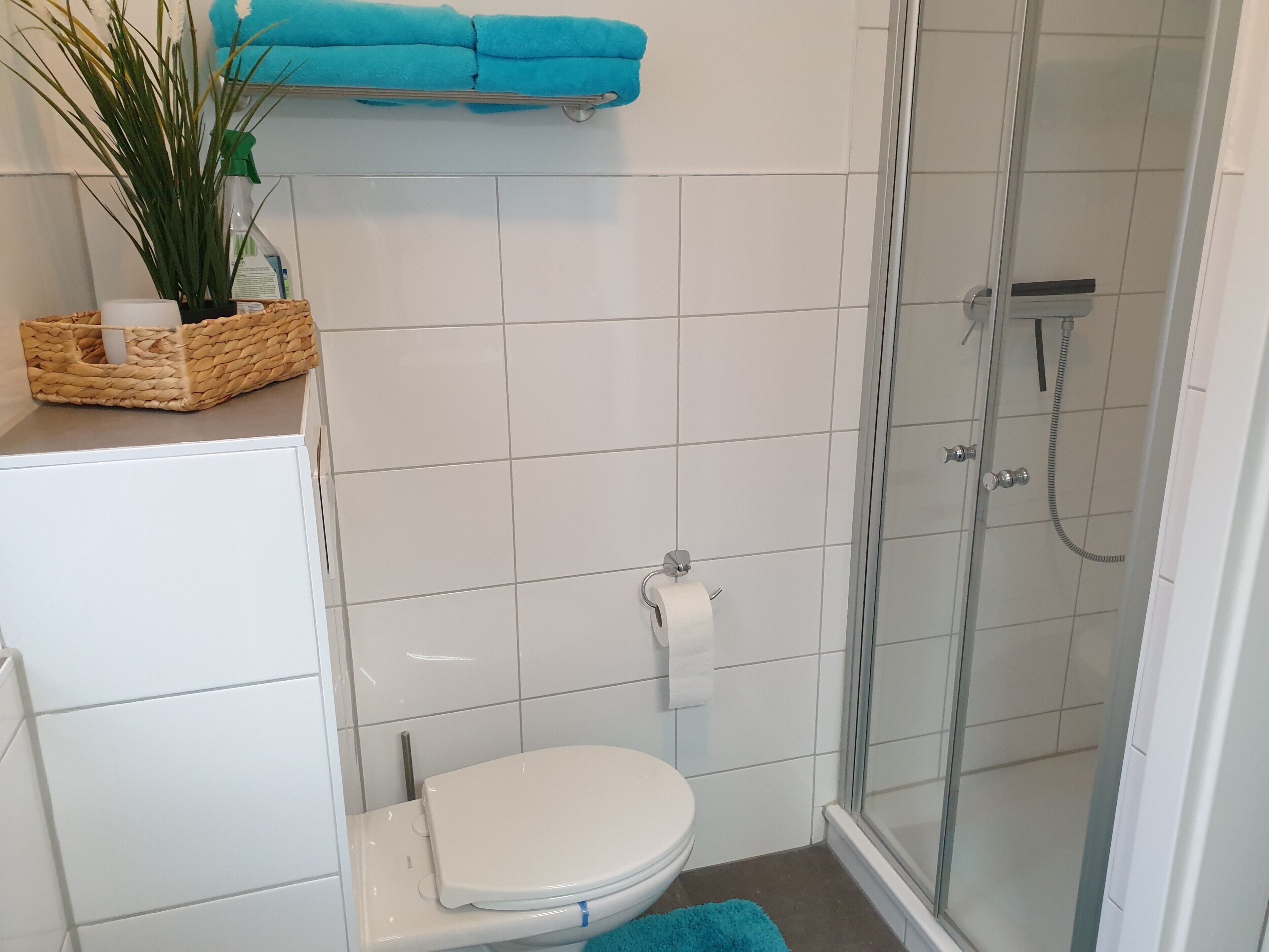 A bathroom with a toilet, a glass shower enclosure, and a blue bath mat.