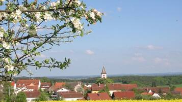 A rural landscape with a church tower, houses, and a field of yellow flowers.