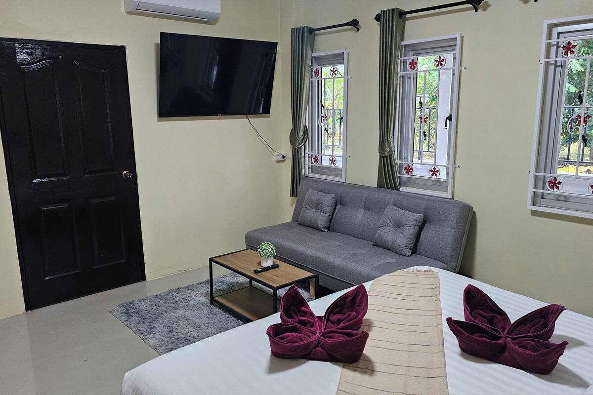 A room with a grey sofa, a small wooden table with a plant, a bed with a white sheet and two purple pillows, a TV on the wall, and two windows with decorative grills.