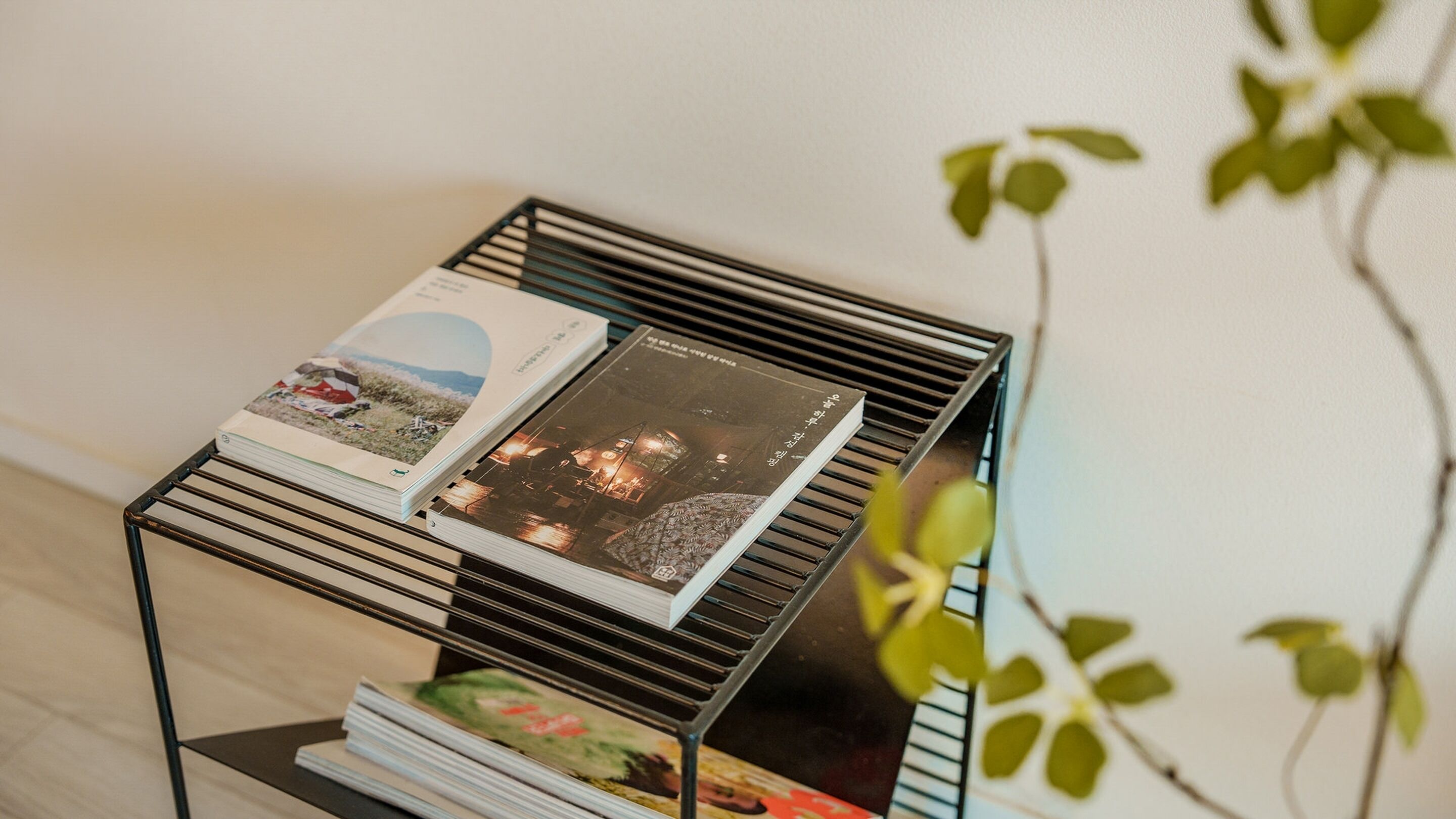 Une table en métal avec des magazines et une plante.