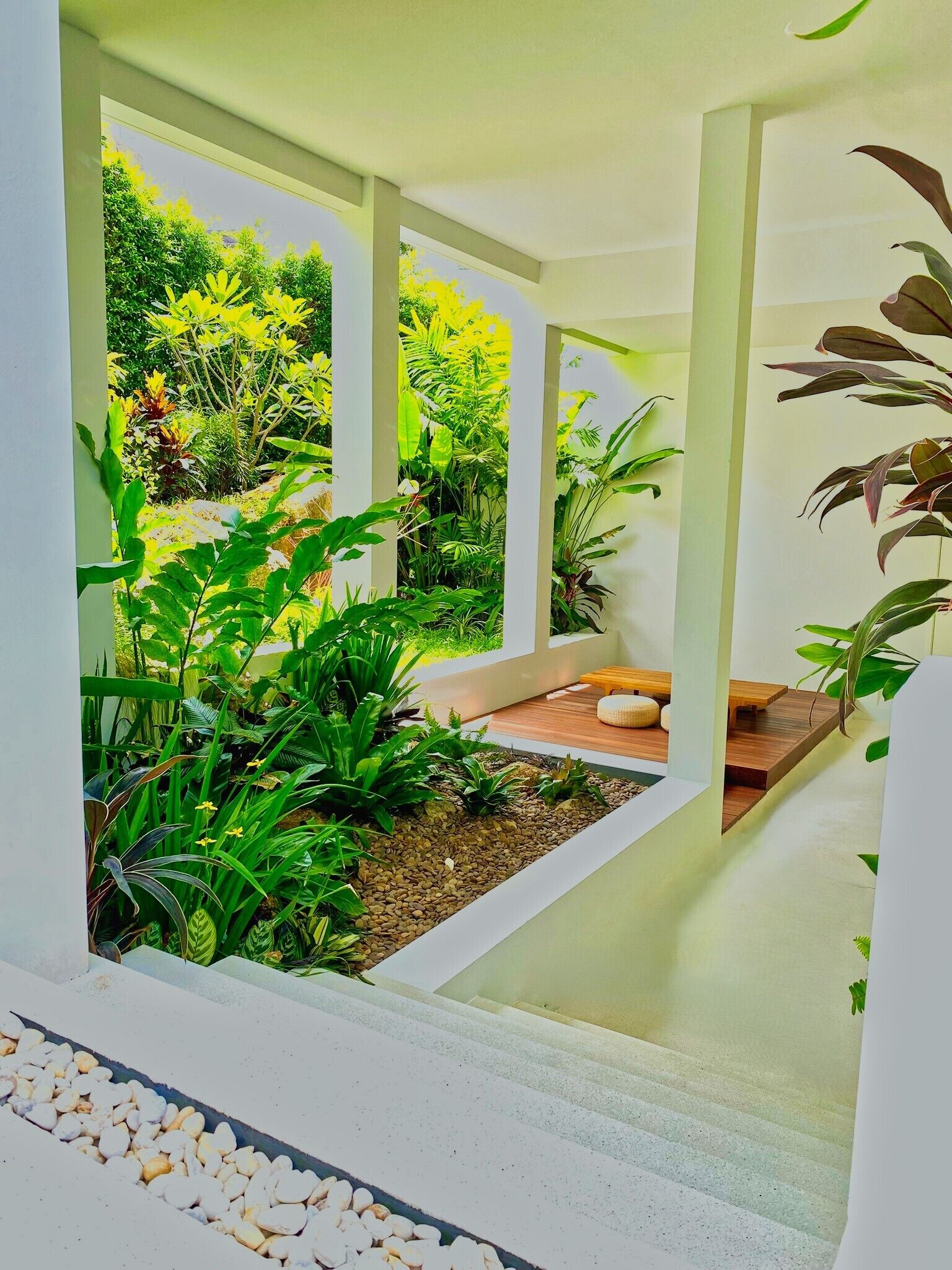 A modern indoor garden with a variety of plants, a wooden bench, and a stone pathway.