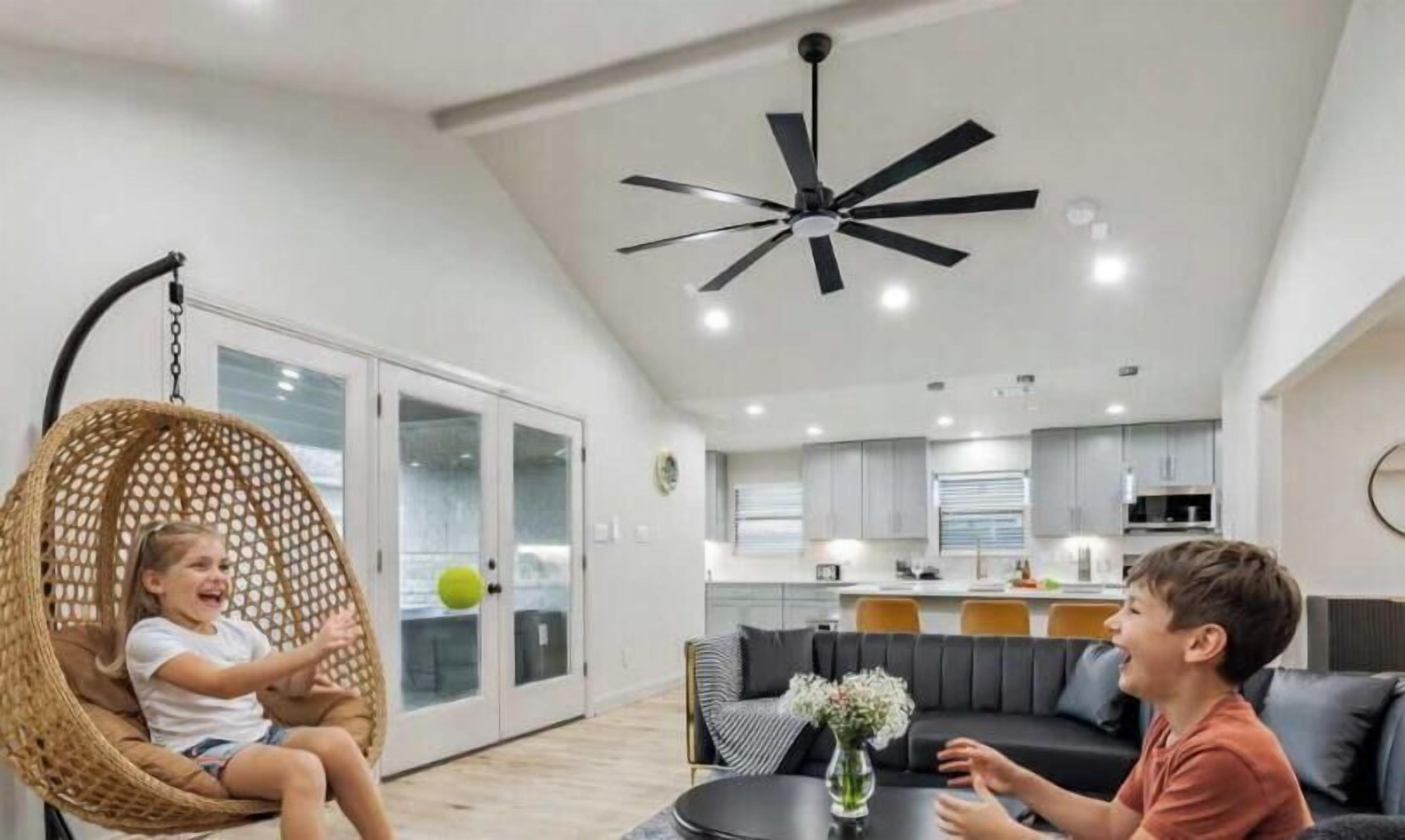 TV, offices