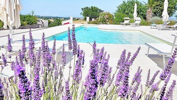 Un espace piscine agrémenté de chaises longues et de parasols, entouré de plantes de lavande.