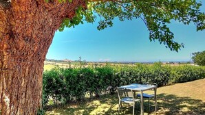 Une table et des chaises placées sous un arbre, avec vue sur un vignoble et des bâtiments situés au loin.