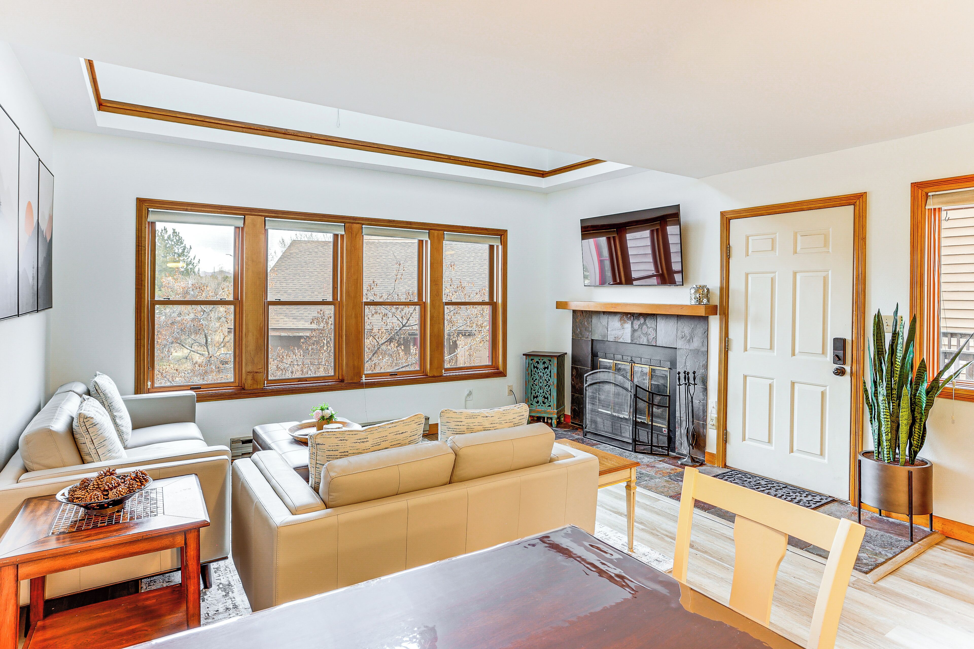 TV, fireplace