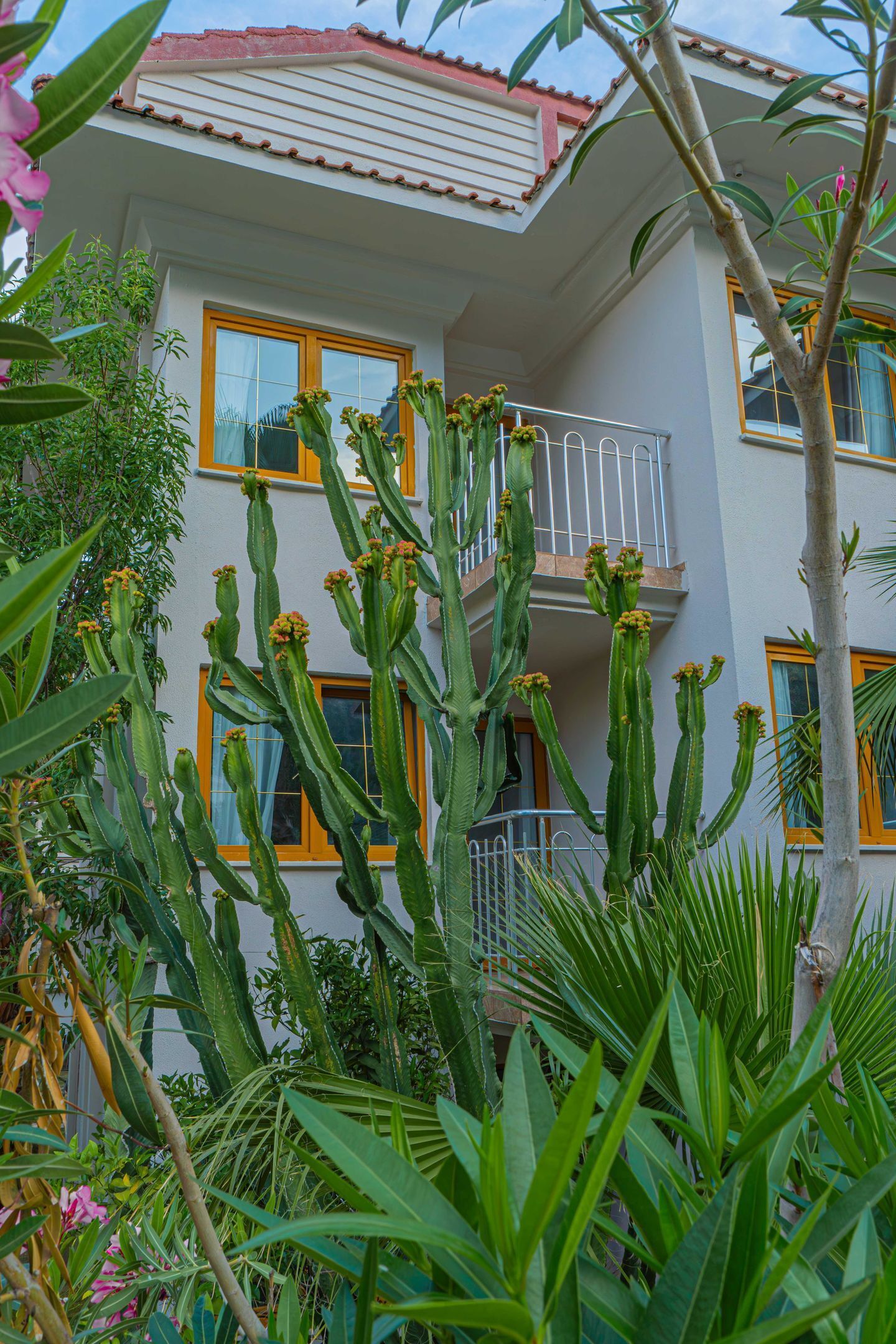Photo - Dream of Oludeniz Hotel -All inclusive
