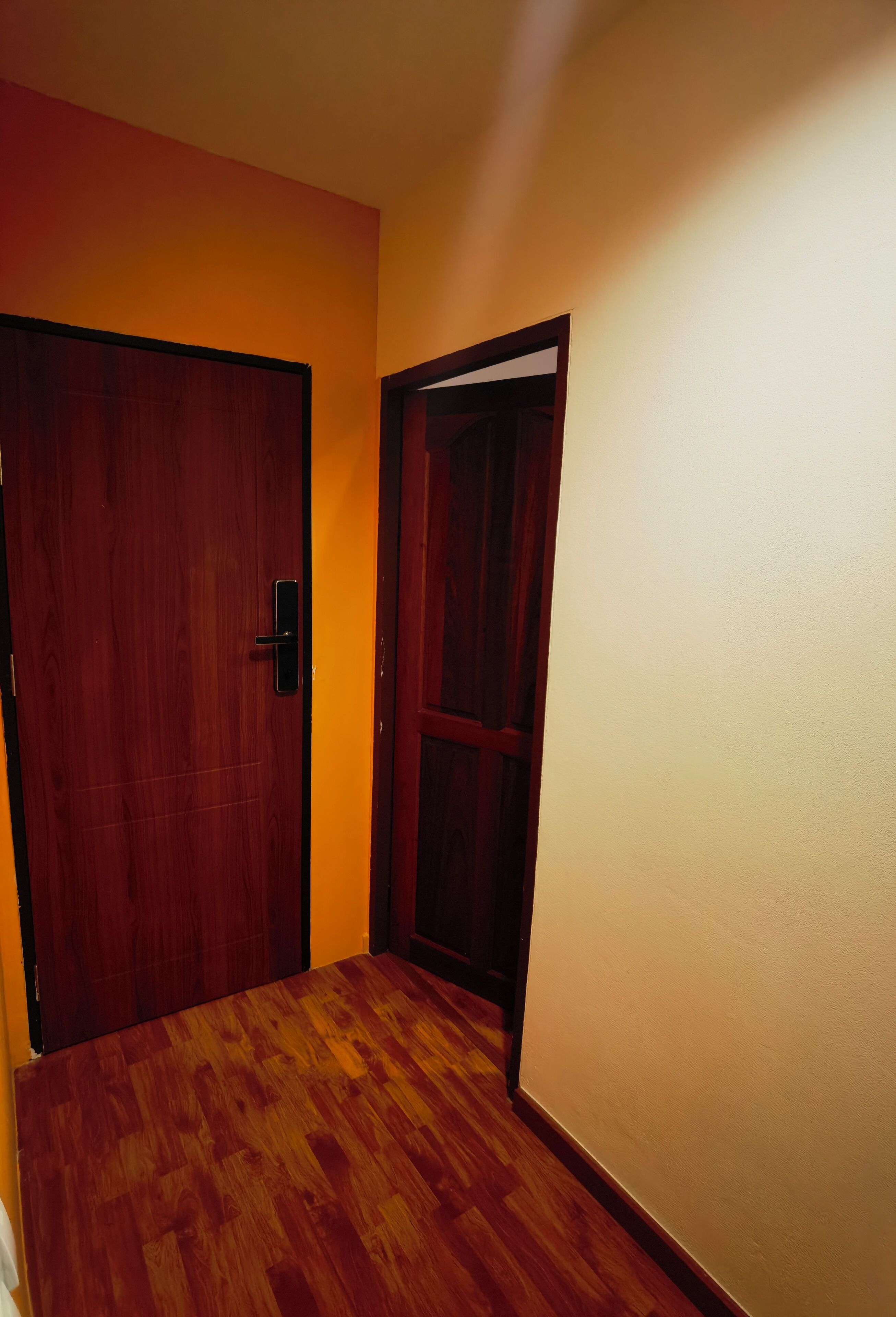 A hallway with wooden flooring and a closed door with a handle.