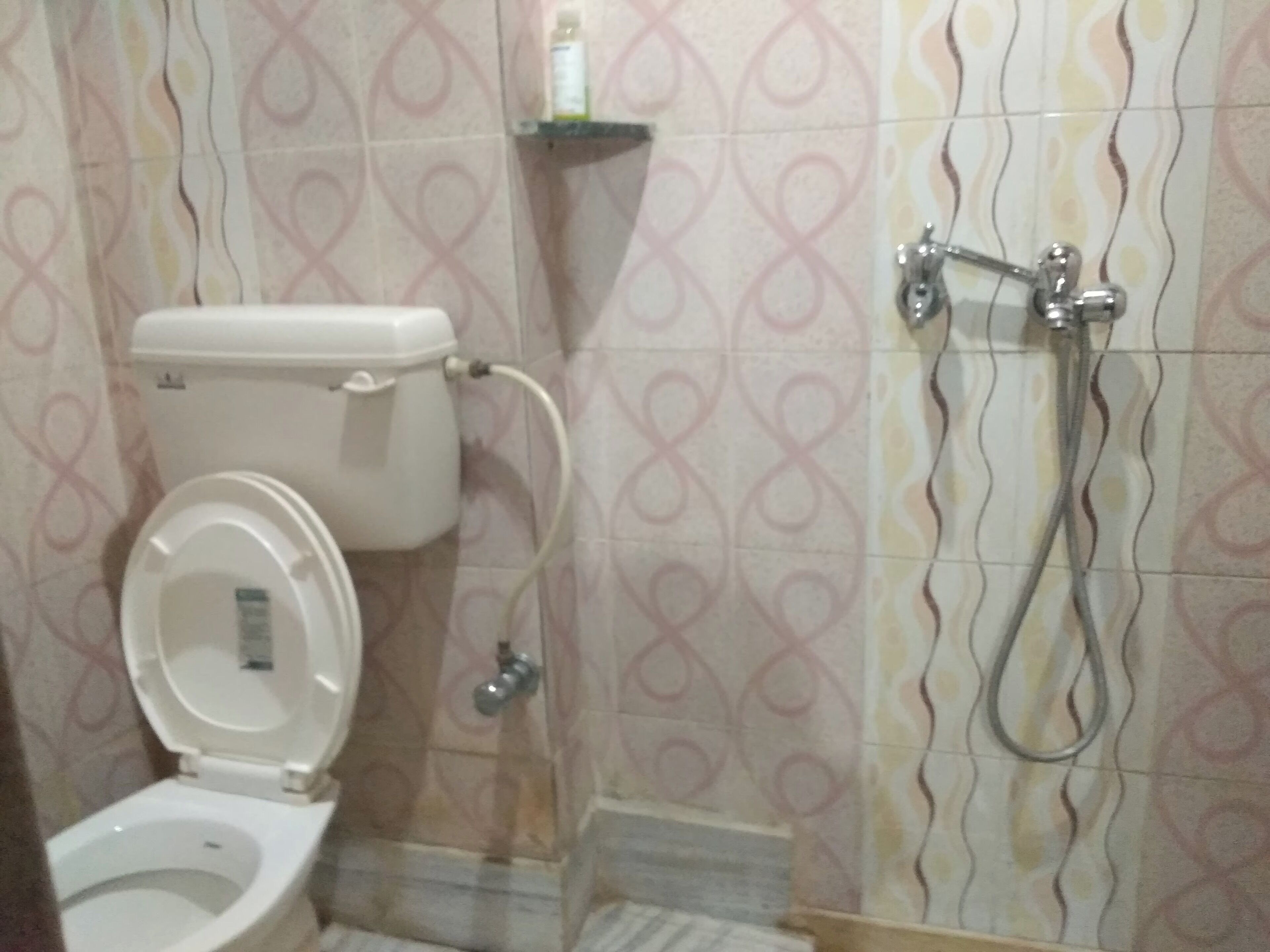 A bathroom with a toilet, a shower, and patterned tiles.