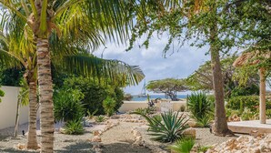 A landscaped garden with palm trees, rocks, and various plants.