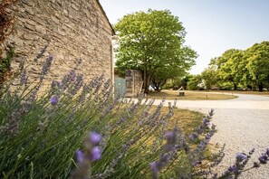 A stone building with a gravel driveway and lavender plants in the foreground.
