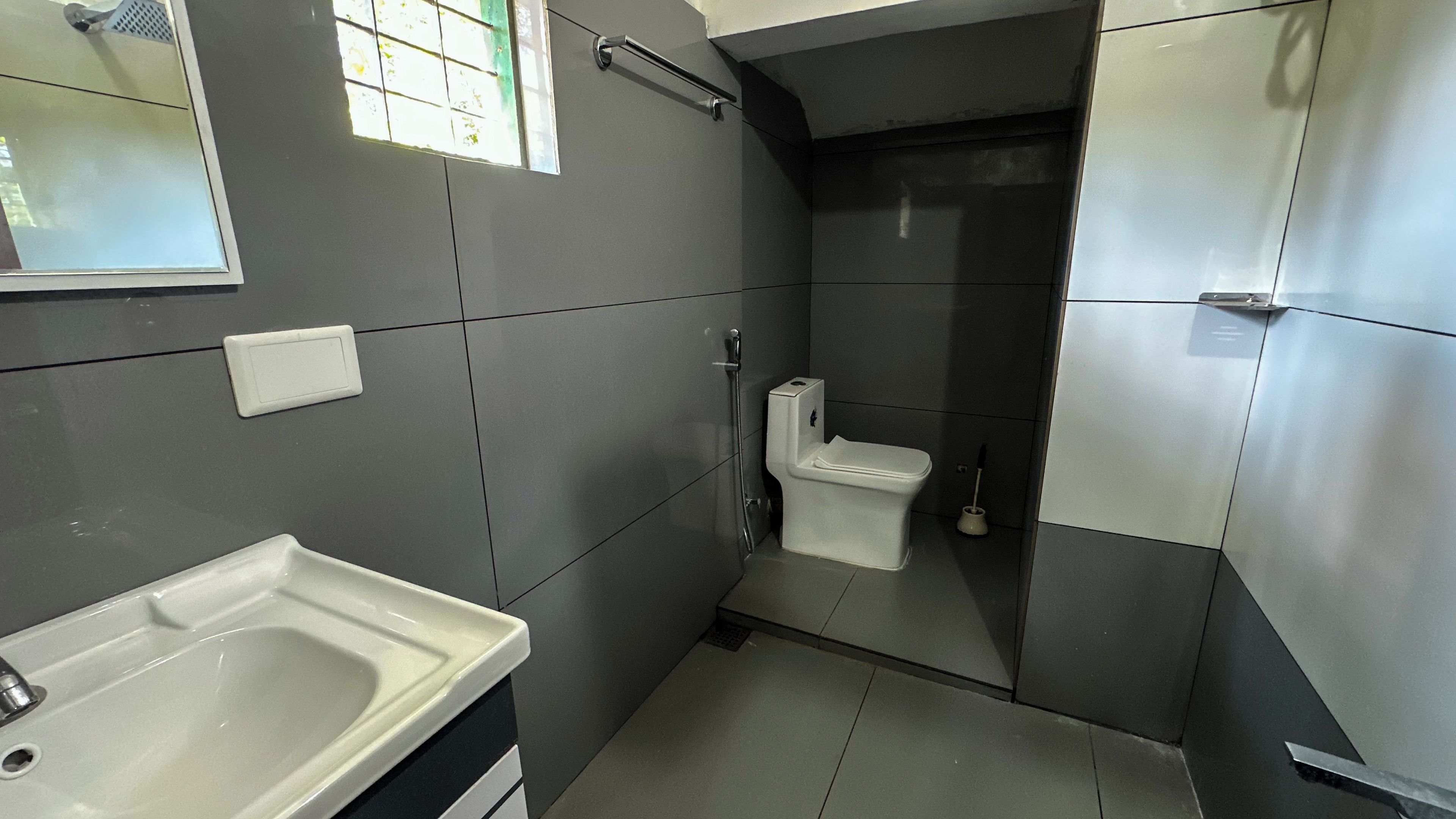 A bathroom with a white sink, a toilet, and a shower area.