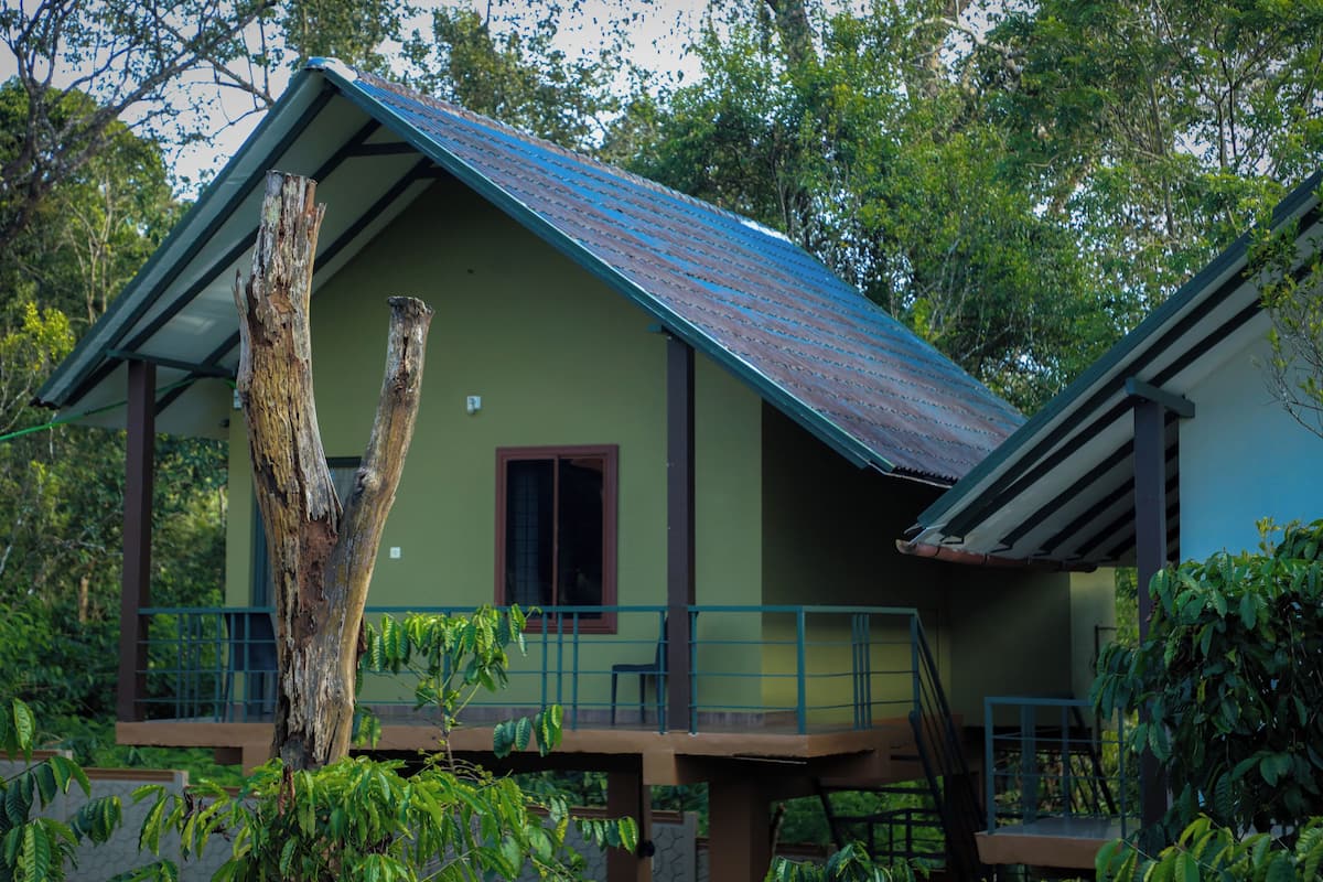 Kabin Deluks | Wi-Fi gratis