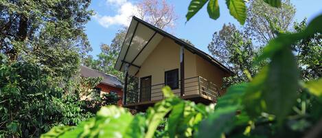 A two-story house with a balcony, surrounded by lush greenery and trees.