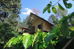 华丽小屋 | 免费 WiFi