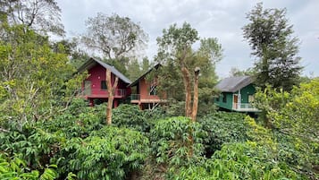 Ngoại thất