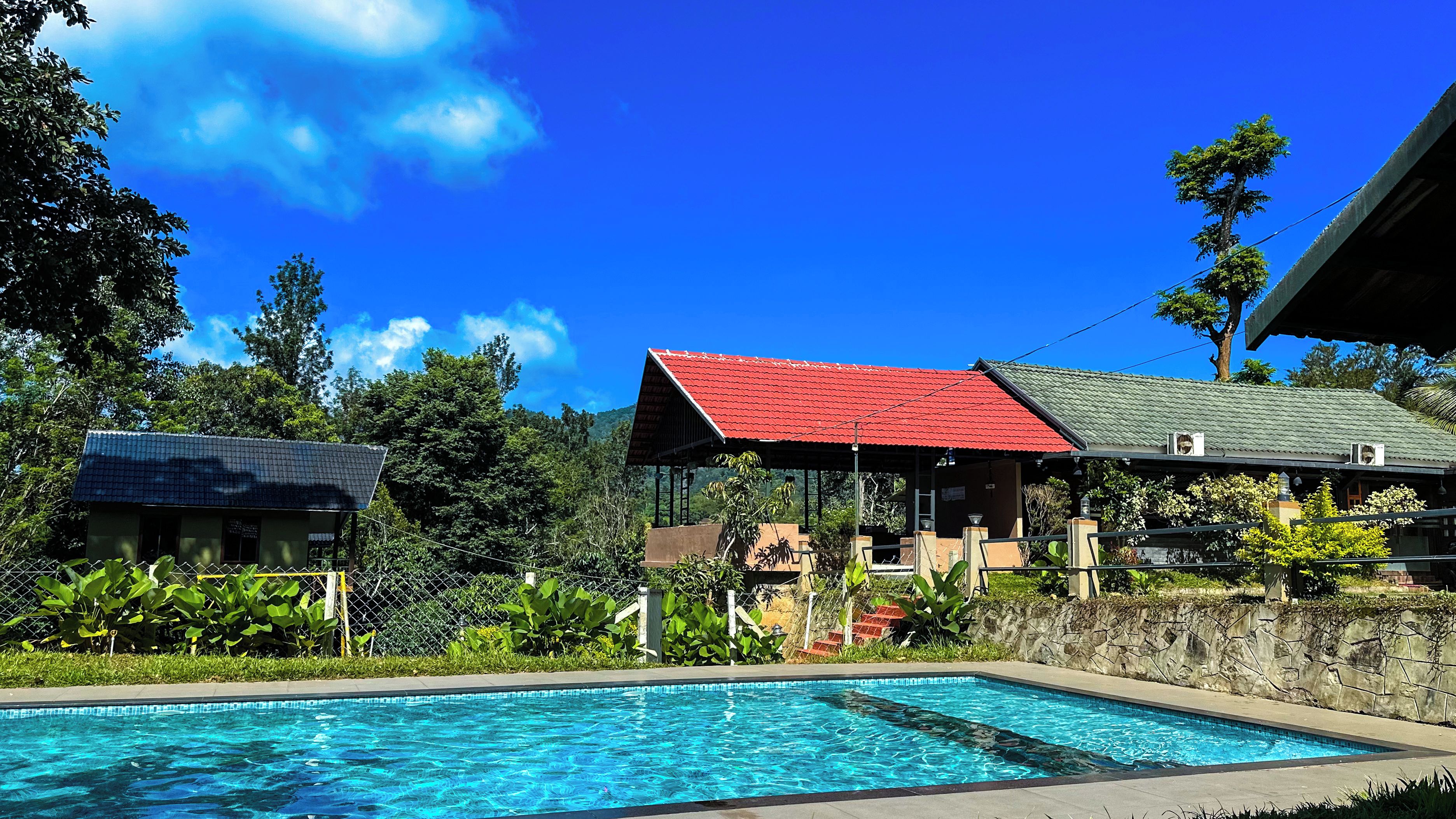 A swimming pool with a clear blue water surface, surrounded by lush greenery and a stone wall.