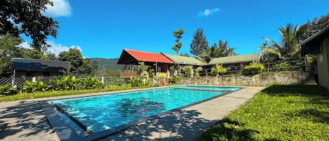 A swimming pool with a stone wall and a grassy area. There are buildings with red roofs in the background.