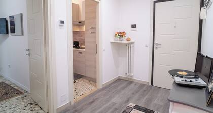 Charming Two-Bedroom Apartment in Downtown Cremona