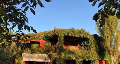 CASA REGĂS et CASA GEORGINA. Costa Brava