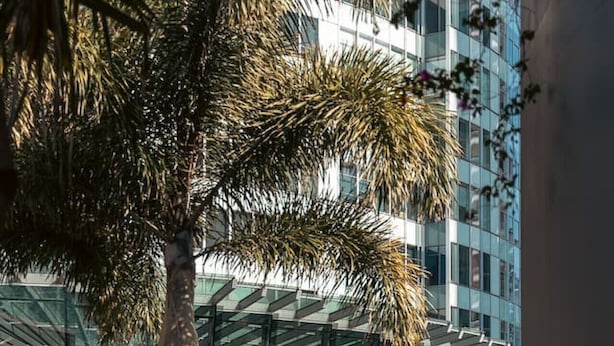 A modern building with a glass facade, a palm tree, and a pool area. - Skyline on Gold Coast - Stunning Views -38th Floor (Surfers Paradise)