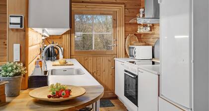 Cozy log cabin with a panoramic view