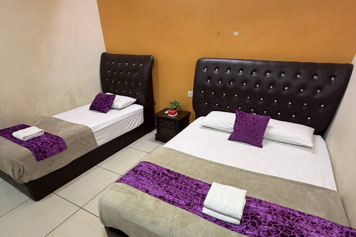Habitación de hotel con dos camas, una mesita de noche con una planta y un equipo de aire acondicionado.