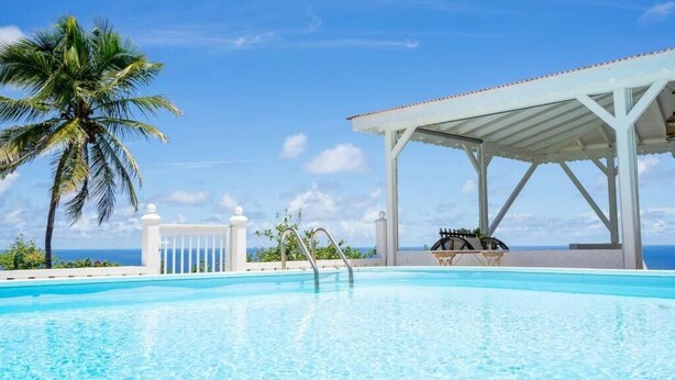 A clear blue pool with a palm tree and a covered seating area.