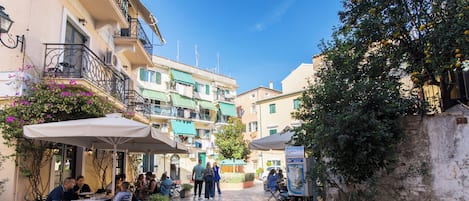 Vista desde la propiedad