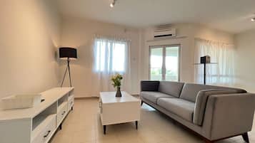 Departamento clásico | Área de sala de estar | Televisión