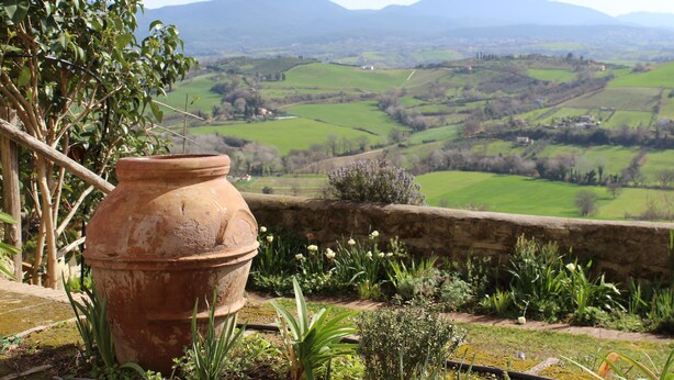 Un pot en terre cuite dans un jardin, avec vue sur des collines ondoyantes et des montagnes lointaines.