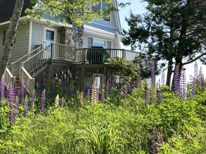 Exterior - Owl`s Nest by Sea Maine (East Boothbay)
